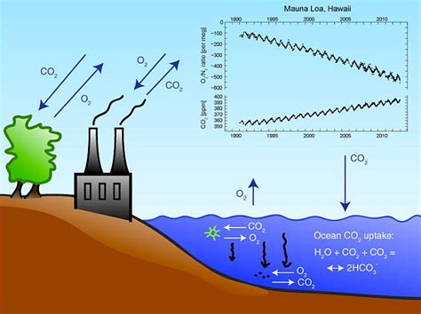 Burning Fossil Fuels For Electricity Diagram Fossil Fuels He