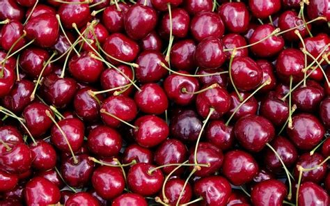 Cherry Wallpapers - Wallpics.Net - Wallpapers, Photos, Pictures ...