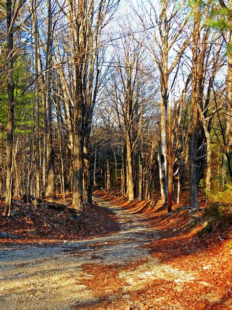 Wilderness Trail Photograph By MTBobbins Photography Fine Art America