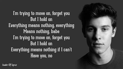 Shawn Mendes If I Cant Have You Lyrics Youtube