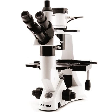 Microscopio Invertido Trinocular Biologico Xds