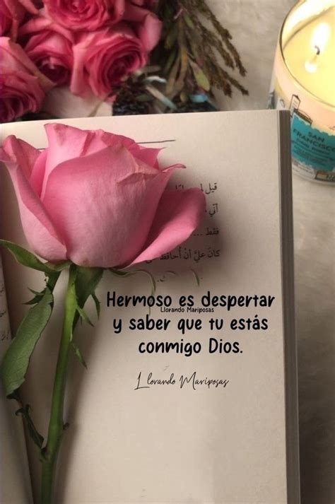 Pin de Angela Mejía en Frases Feliz y bendecido dia Frases bonitas