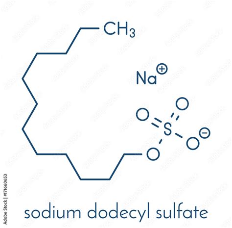 Sodium Dodecyl Sulfate Sds Sodium Lauryl Sulfate Surfactant Molecule