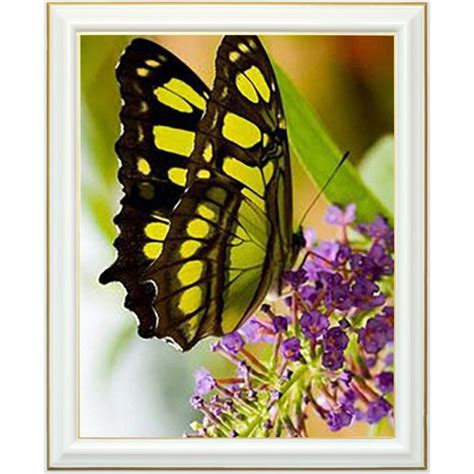 Diamond Painting Papillon Jaune Et Noir X Cm Lartera