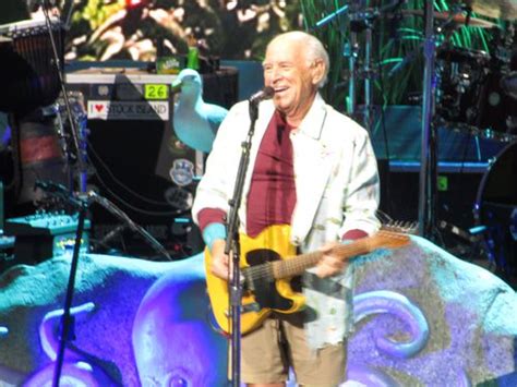 Jimmy Buffett Tributes Alabamas Bryant Denny Stadium Other College