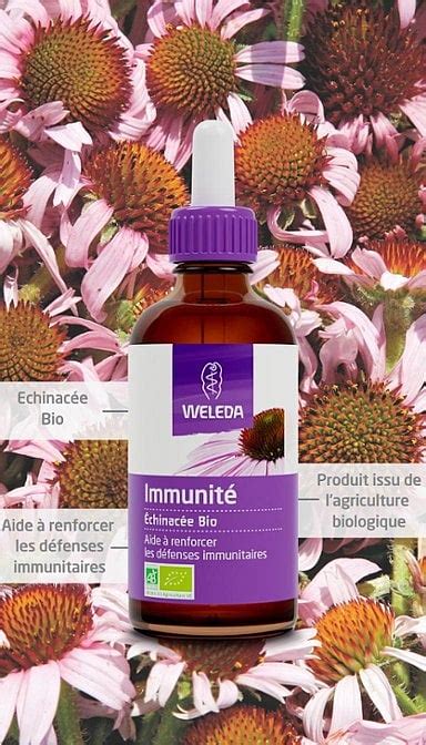 Extrait De Plante Bio Immunit Echinac E Compl M Weleda