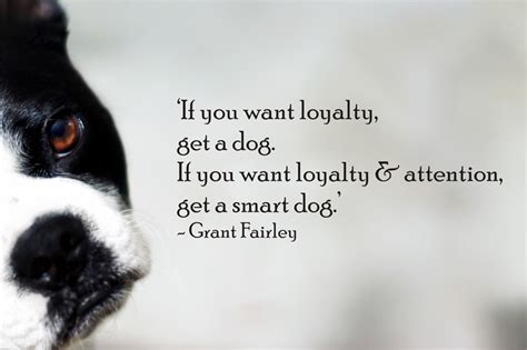 Dog Loyalty Quotes. QuotesGram