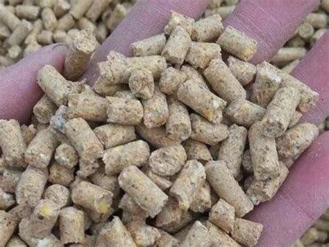 How to Make Animal Feed Pellets? - Charcoal Machinery