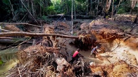 La Codicia Que Destruye El Amazonas Cómo La Minería Ilegal Puede