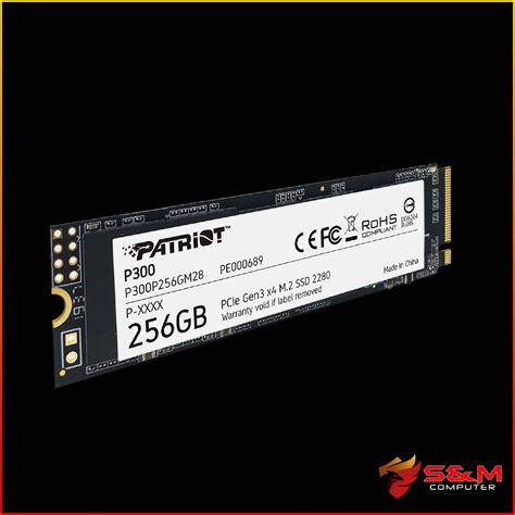 Ssd Gb Patriot P Nvme Sym Computer