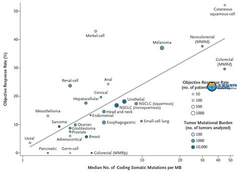 Tmb肿瘤突变负荷的诞生和热门 生信自学网