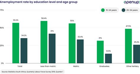 Age Gender And Unemployment In South African Municipalities Revealing