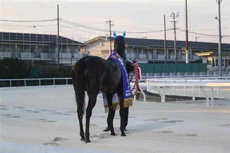 ふわ まさあき On Twitter 2022年12月31日園田競馬11r園田ジュニアカップ 1着 スマイルミーシャand吉村智洋騎手（口取り