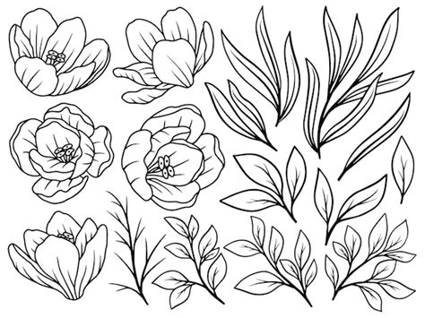 Premium Vector Flowers Line Art