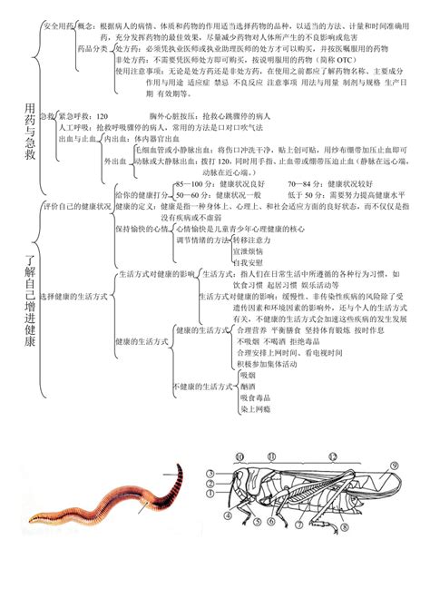 八年级生物知识思维导图整理21世纪教育网 二一教育