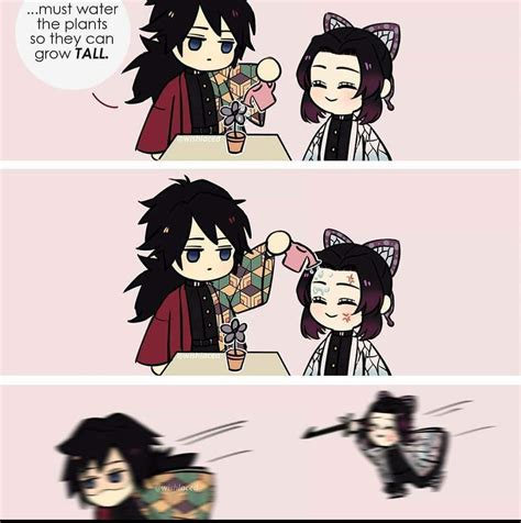 Giyuu+Shinobu daliy memes day 1 | Demon Slayer: Kimetsu No Yaiba Amino