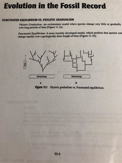 Solved Lab Section Date Exercise The Xy Graph Below Chegg