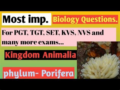 Biology Most Imp MCQ S Phylum Porifera SET PGT TGT KVS NVS Exams