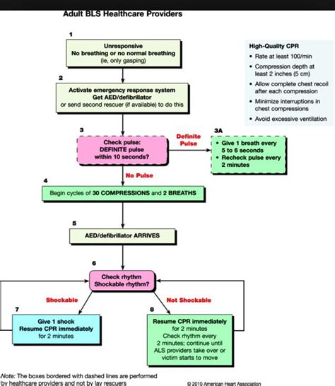 Adult Bls Algorithm Basic Life Support Acls Healthcare Provider