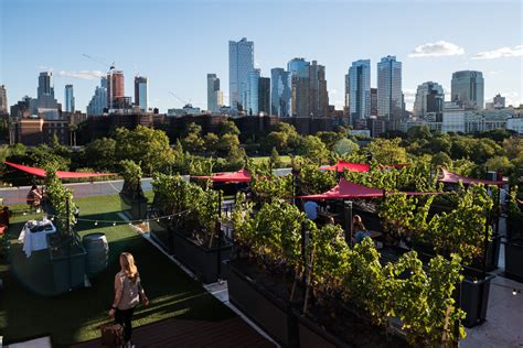 Rooftop Reds Brooklyn Vineyard — Rooftop Reds