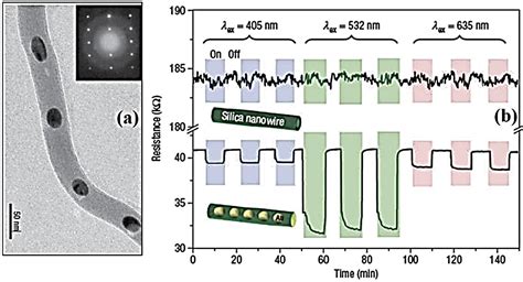 Nanomaterials Free Full Text Complex Morphology Metal Based