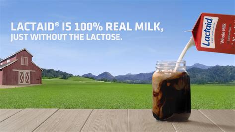 lactose  dairy products lactaid