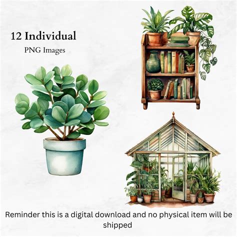 Indoor Plants Watercolor Clipart Bundle House Plant Clipart Gardening Planner Greenhouse