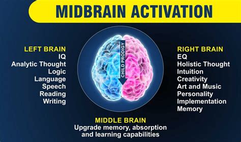 Mba Mid Brain Activation Program