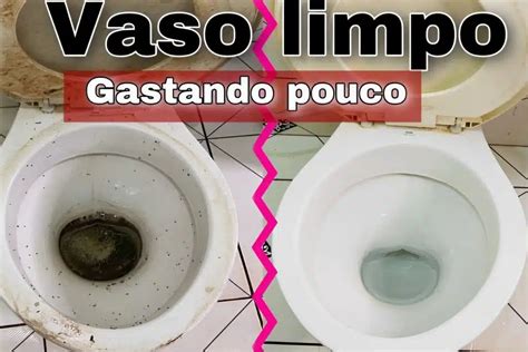 Como Limpar Vaso Sanit Rio Encardido