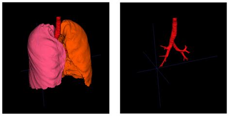 2: Left: Geometries of the lung's parenchyma with the first generations ...