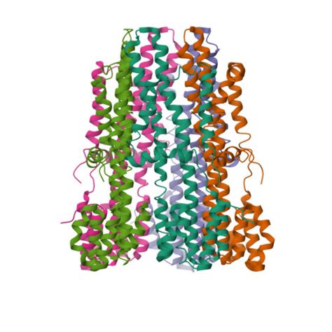 RCSB PDB 8GQY CryoEM Structure Of Pentameric MotA From Aquifex Aeolicus