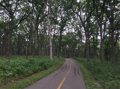 Old Plank Road Prairie Dewey Helmick And Hickory Creek Barrens