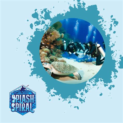 Sea Turtle Conservation How Divers Can Protect Nesting Sites - Splash