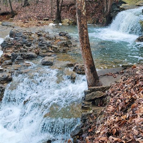 Candid moments... - Candid moments photography by wendi