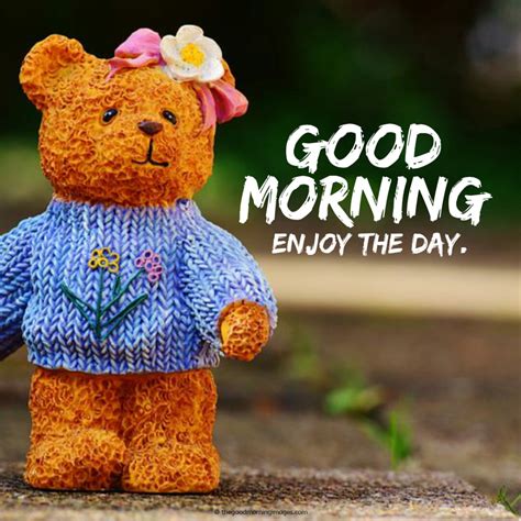 Good Morning Teddy Bear Good Morning Wishes Images