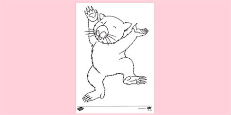 Dancing Wombat Colouring Colouring Sheets Teacher Made