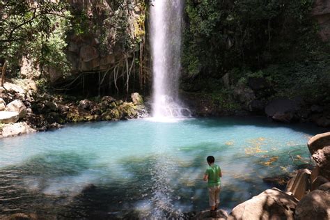 Free Images Forest Waterfall Wilderness River Hiker Stream