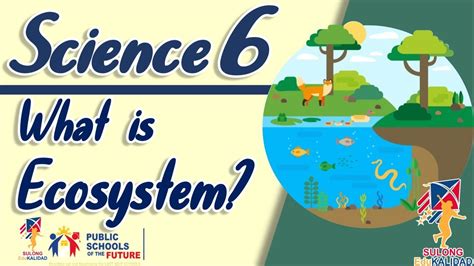 Science 6 Ecosystem Grade 6 Youtube