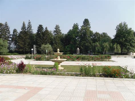 "Сдружение за Гроздьово": За село Гроздьово