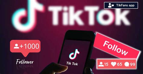 Tăng Follow Tiktok Tăng Tim View Tik Tok Miễn Phí Với Tikfans Hoàng