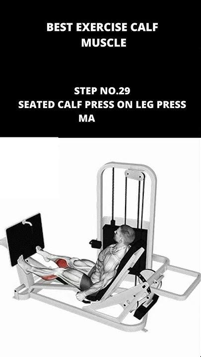 Calf Exercise Seated Calf Press On Leg Press Machine Youtube