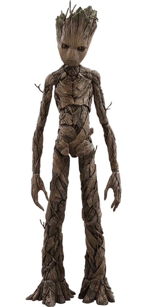 Groot Png Transparent Image Download Size 480x1000px