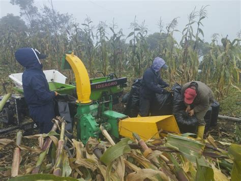 Tungurahua Elabora Ensilaje Para Apoyar A Productores Ministerio De