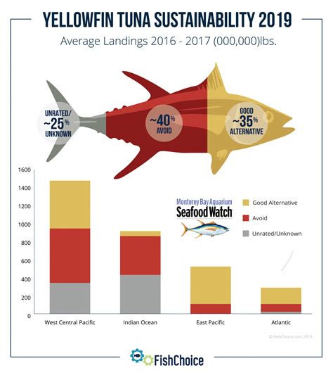 Yellowfin Tuna | FishChoice