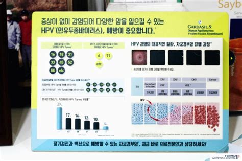 자궁경부이형성증 원인 123 단계 별 심각성 네이버 블로그