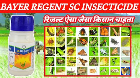 Bayer Regent Sc Insecticide Fipronil Regent Insecticide Price