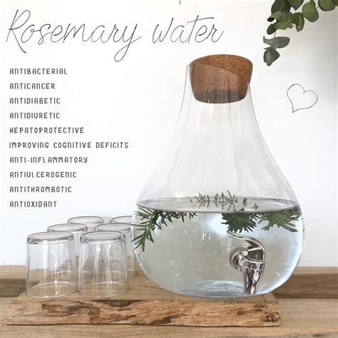 Rosemary water- the health benefits of herbs Natural Remedies Health ...