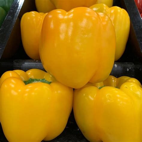 YELLOW CAPSICUM : Forestway Fresh