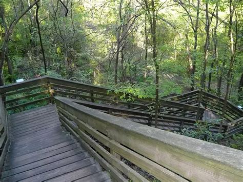 Devil S Millhopper State Park In Florida Has A Secret Trail That Leads To A Mysterious Sinkhole