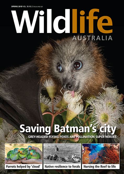 Wildlife Australia Magazine